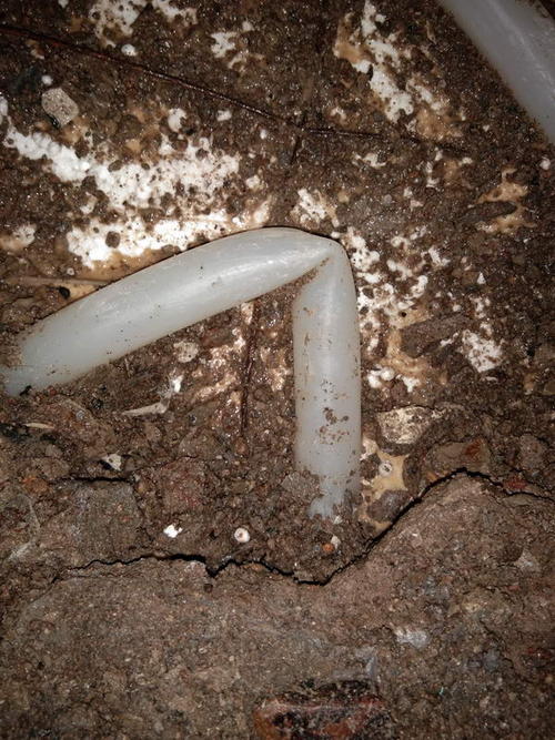 金寨堵点精准查找